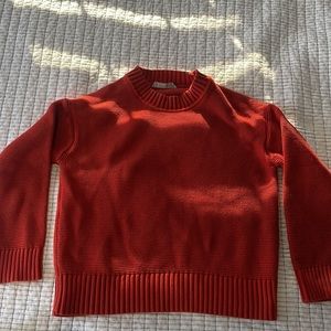 Everlane The Link-Stitch Crewneck Sweater in Rust Red
